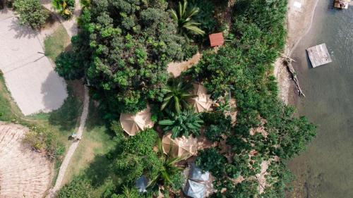 eine Luftansicht von Bäumen und Wasser in der Unterkunft Rio Hostel Buritaca in Buritaca