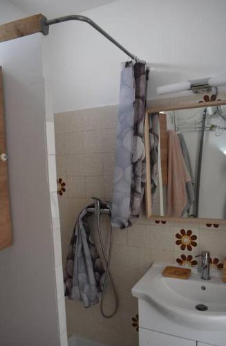 uma casa de banho com um lavatório e uma cortina de chuveiro em Studio de 18m² rénové en 2023. em Le Grau-du-Roi