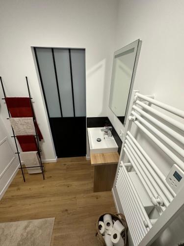 une salle de bain avec un lavabo et un miroir dans l'établissement Appartement moderne - 1 chambre, à Amiens