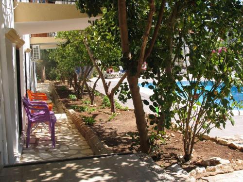 Zahrada ubytování Pasha Suites