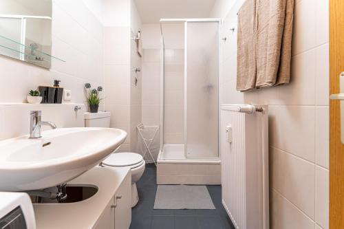 La salle de bains est pourvue d'un lavabo, de toilettes et d'une douche. dans l'établissement Helles modernes Studio m. Küche, Nahe Uni, à Cottbus