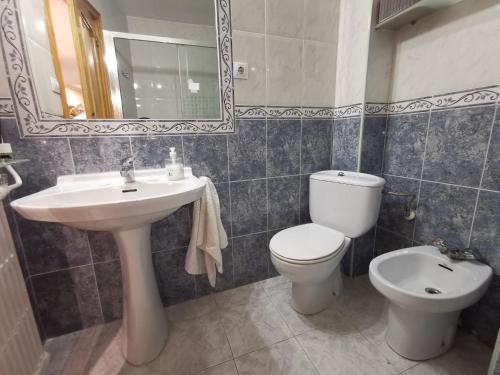 a bathroom with a sink and a toilet and a mirror at Cómoda vivienda en Huesca in Huesca