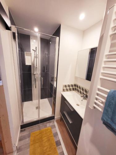 une salle de bain avec douche et lavabo dans l'établissement Lerezno - T2 centre tout confort, à Cherbourg en Cotentin