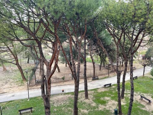 Φυσικό τοπίο κοντά σε αυτό το διαμέρισμα