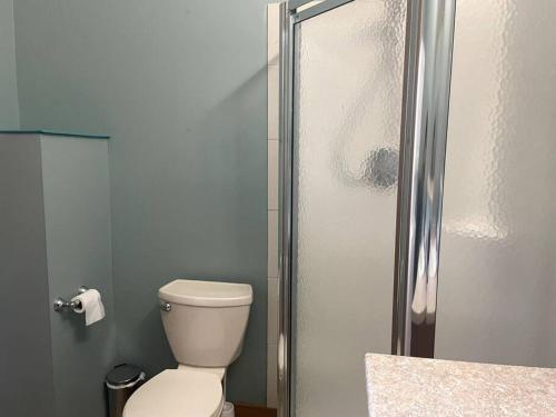 a bathroom with a toilet and a shower at Oyama house- close to beach in Lake Country