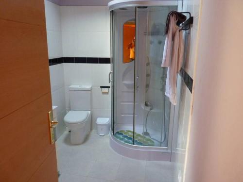 een badkamer met een douche en een toilet. bij Vivienda Vacacional La Cantera in Cangas de Onís