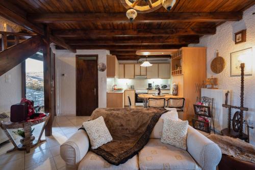 ein Wohnzimmer mit einem Sofa und einer Küche in der Unterkunft Chalet Renata 2 Livadi Arachovas in Kalívia