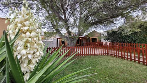 El Patio del Aromo