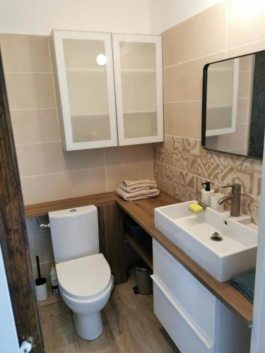une salle de bain avec des toilettes blanches et un lavabo dans l'établissement Studio indépendant à 2 minutes du golf du Luberon, à Pierrevert