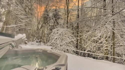 a hot tub in a snow covered yard with trees at Zigzag Mountain Lodge - Meredith Lodging in Rhododendron