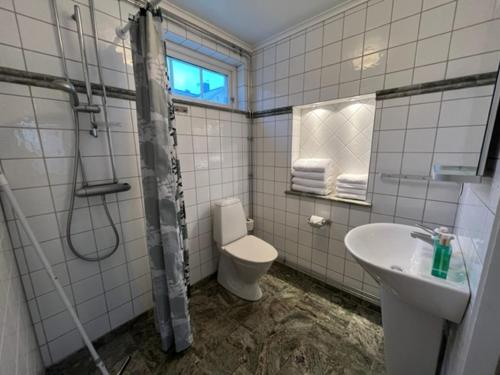 y baño con aseo, lavabo y ducha. en Sjögården, en Vadstena