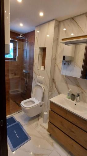 Ένα μπάνιο στο Glečer Apartman 6