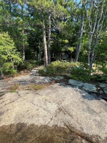 INGALL'S NOOK LIMIT 8 cabin – Photos 5
