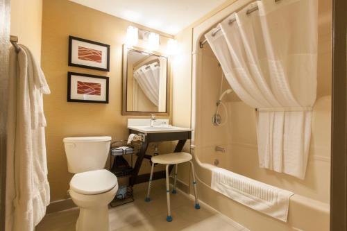 a bathroom with a toilet and a sink and a shower at Comfort Inn Chatham in Chatham