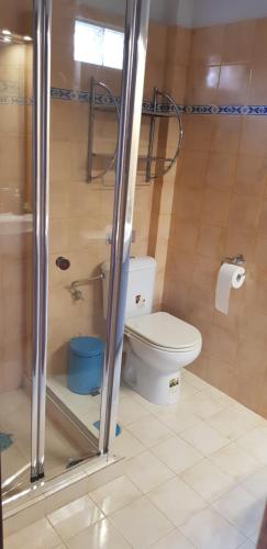 a bathroom with a toilet and a shower stall at Margherita's holidays home in Agios Spiridon Fokidas