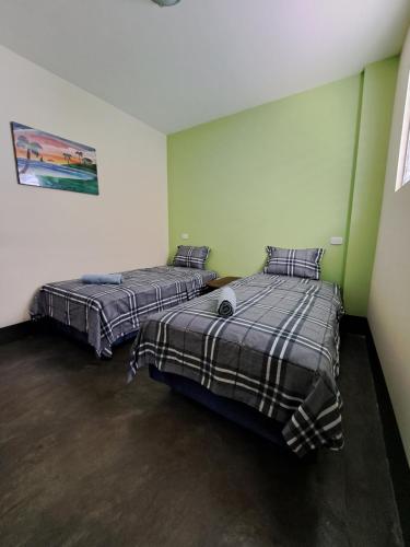 duas camas num quarto com paredes verdes em Hostal Mochilas em Granada