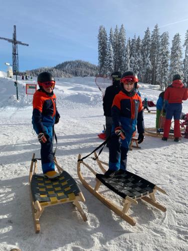 two children are standing on a sled on the snow at Ferienhof Nasnergut in Radstadt