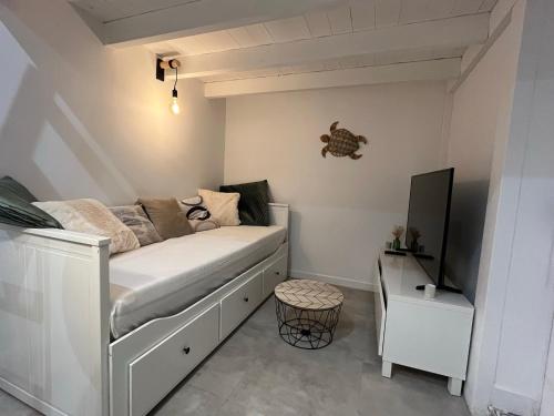 1 dormitorio pequeño con 1 cama y TV en Studio cosy à 15 min de Bordeaux, en Saint-Sulpice-et-Cameyrac
