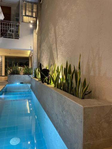 a swimming pool with blue tiles and plants at Ayenda Casa Roman in Cartagena de Indias