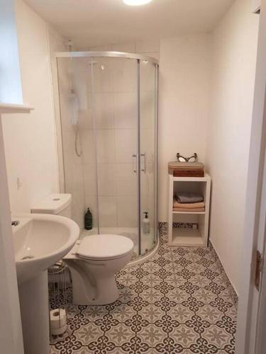 y baño con ducha, aseo y lavamanos. en Butterfly Cottage Retreat - Private Studio Getaway, en Delvin