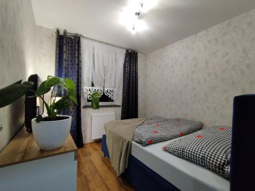 een kleine slaapkamer met een bed en een potplant bij Apartament na Szewskiej in Głogów