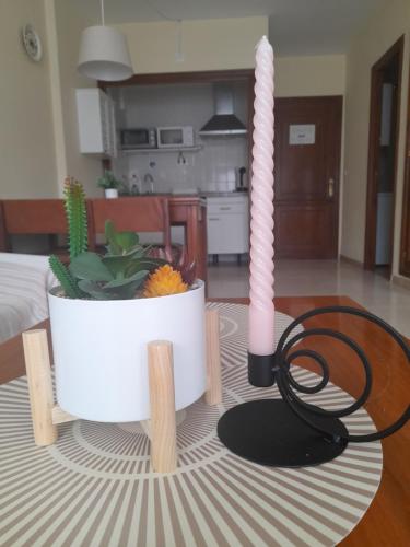 a candle and a potted plant on a table at nice apartment in hotel ronda 4 first beach line in Fuengirola