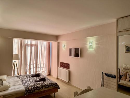 Light Apartments – Photos 2