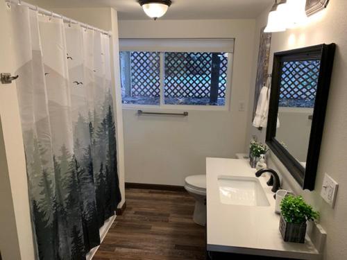 a bathroom with a toilet and a sink and a mirror at Outdoor Sanctuary - 3 min walk to Silver Mtn in Kellogg