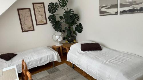 een slaapkamer met 2 bedden en een tafel met een plant bij FeWo Oberhausen-Alstaden (Gornig) in Oberhausen