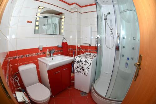 a bathroom with a toilet and a sink and a shower at Korali Apartment in Ohrid