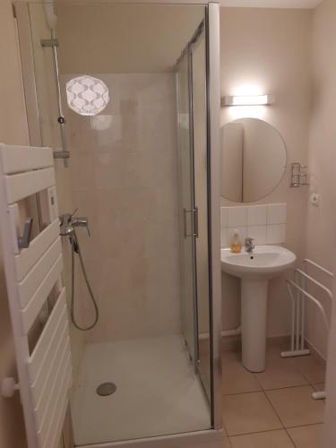 une salle de bain avec douche et lavabo dans l'établissement L'appartement du parc vert marine, à Houlgate