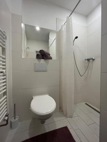 a white bathroom with a toilet and a shower at Prázdninový dům Za Stodolou in Česká Ves