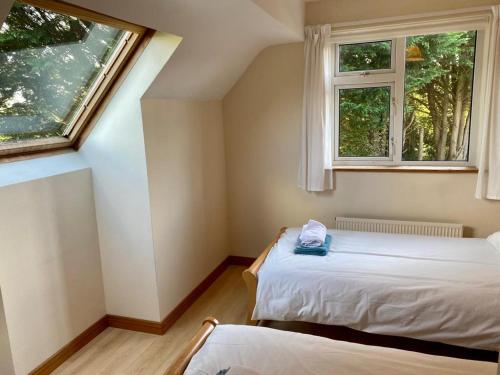 two beds in a room with two windows at Dove House in Killala