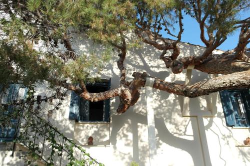 Foto dalla galleria di Villa Kynthia a Panormos