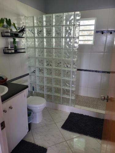 a bathroom with a toilet and a shower with glass panels at Mount Joy Getaway in Parham