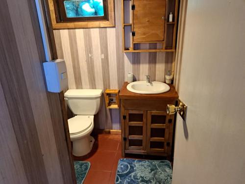 La petite salle de bains est pourvue de toilettes et d'un lavabo. dans l'établissement Cabaña Alba, à Puerto Montt