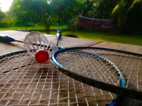 two tennis rackets sitting on a tennis court at Green Cottage in Anuradhapura