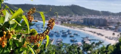 a view of a beach from a tree with a view at Encantos do mar in Arraial do Cabo