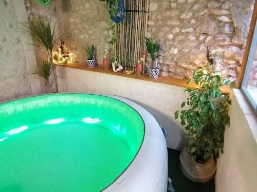 a green bath tub in a bathroom with plants at Gîte Val-Fouzon, 3 pièces, 5 personnes - FR-1-591-345 in Val-Fouzon