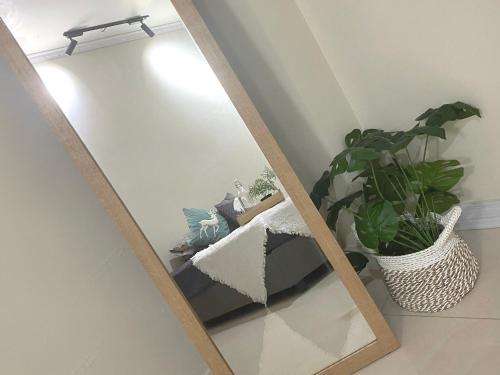 a mirror sitting on a shelf next to a plant at Verse Guest House in Pontianak