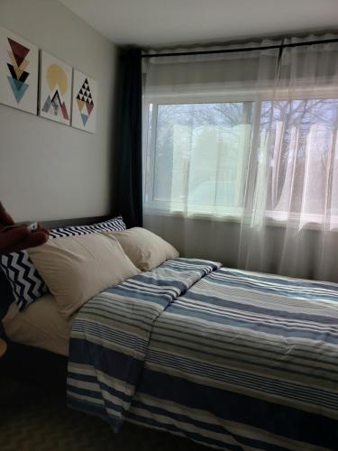 ハミルトンにあるChoose, 1of 2 entire! appart- 1BR-1sofa bed king size-free prkg- at Mohawk college city of fallsのベッドルーム(ベッド1台、窓付)