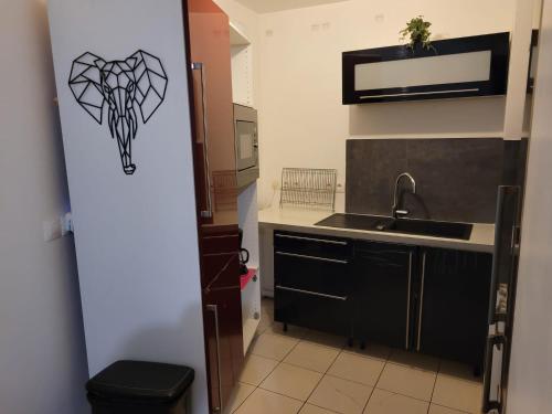 a kitchen with a sink and a spider design on the door at Boissy Gare RER A Appartement 1 à 3 chambres au choix in Boissy-Saint-Léger