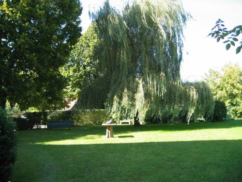 a park with a bench under a weeping willow tree at Hôtel & Restaurant Le Relais d'Aumale in Chantilly