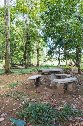 Finca Pura Villa – Photos 3