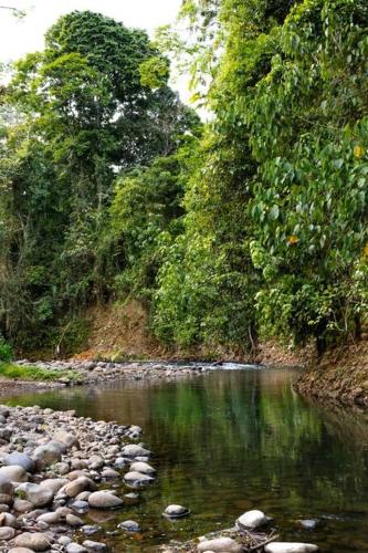 Finca Pura Villa – Photos 4