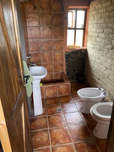 baño con lavabo y aseo y ventana en Cabaña Lo de Mirtha en Tunuyán