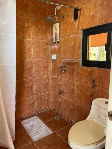 a bathroom with a shower with a toilet at 2BR- 4th Floor Camp John hay For Rent in Baguio