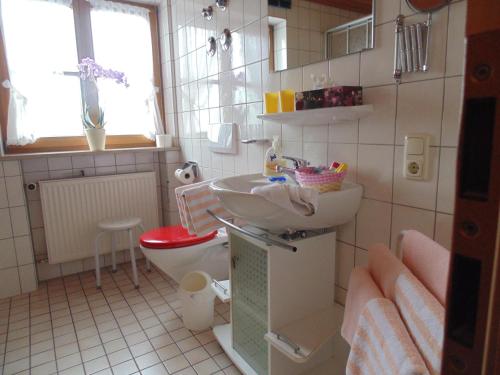 Landhaus Schmid tesisinde bir banyo