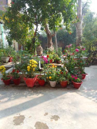 a bunch of flowers in pots on a sidewalk at Hotel Zen in Khajurāho