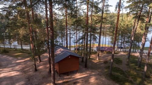 a small cabin in the middle of a forest at Kempings Bejas in Babīte